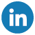 LinkedIn Icon